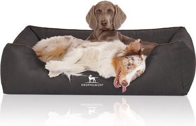 Knuffelwuff Orthopädisches Hundebett Rockland aus Kunstleder Schwarz XL – Bild 1 von 5