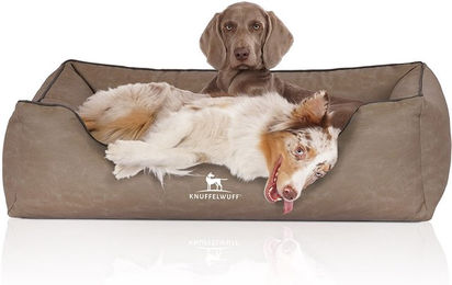 Knuffelwuff Orthopädisches Hundebett Rockland aus Kunstleder XL in Grau Beige – Bild 1 von 6