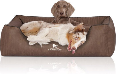 Knuffelwuff Orthopädisches Hundebett Tampa aus Kunstleder Braun XXL – Bild 1 von 4