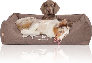 Produktbild von Knuffelwuff Orthopädisches Hundebett Wippo aus Velours in Braun Übergröße XXL für Riesenrassen