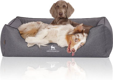 Produktbild von Knuffelwuff Orthopädisches Hundebett Wippo aus Velours in Grau zur Gelenkschonung