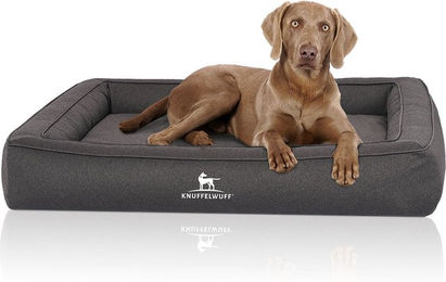 Produktbild von Knuffelwuff Orthopädisches Hundebett Yukon aus Velours in Grau für alle Altersstufen