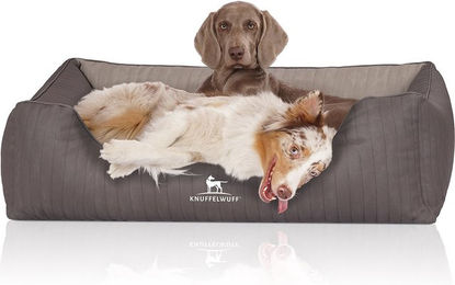 Knuffelwuff Outlander Orthopädisches Hundebett aus Kunstleder XXL 120 x 85cm Grau – Bild 1 von 10