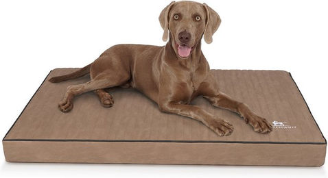Knuffelwuff Palomino orthopädische Hundematte aus Kunstleder XL Beige Braun OEKO-TEX – Bild 1 von 5