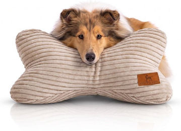 Knuffelwuff Schlafknochen Weston Hundespielzeug aus Cord in Beige – Bild 1 von 1