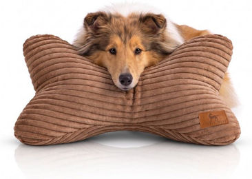 Knuffelwuff Schlafknochen Weston Hundespielzeug aus Cord in Braun – Bild 1 von 1