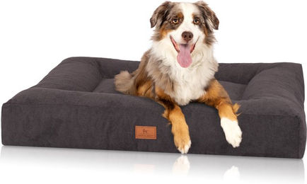 Knuffelwuff Sofia orthopädisches Hundebett aus Velours Schwarz Größe L – Bild 1 von 4