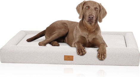 Knuffelwuff Tiva Orthopädisches Hundebett mit Memory Foam aus Easy Clean Stoff Beige Größe L – Bild 1 von 4