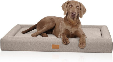 Produktbild von Knuffelwuff Tiva Orthopädisches Hundebett mit Memory Foam in Grau