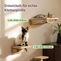 Produktbild von Knupis Katzen Kletterwand Set mit Hängematte und 2 Treppen aus FSC Kiefernholz in Beige bis 30 kg