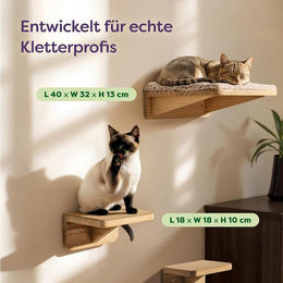 Knupis Kratzbaum Katzen Kletterwand Set aus Kiefernholz mit Katzenbett und 2 Katzentreppen in Natur/Beige FSC zertifiziert – Bild 1 von 3