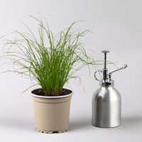Produktbild von Kölles Beste Katzengras ungespritzt 3er-Set im 12 cm Topf zur Unterstützung der Verdauung und Haarballenbildung bei Katzen