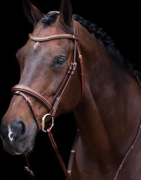 Produktbild von Kombinierte Reittrense Reithalfter HV Polo Legacy aus Leder in Braun