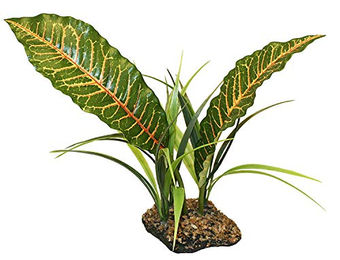 Komodo 45986 Tropical Canopy für Reptilien und Echsen – Bild 1 von 1