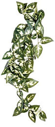Komodo Borneo Hanging Vine Unterschlupf für Reptilien 23cm – Bild 1 von 2