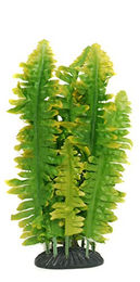 Produktbild von Komodo Boston Farn für Reptilien 25 cm