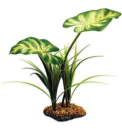 Komodo Broadleaf Canopy Grün – Bild 1 von 2