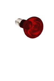 Produktbild von Komodo Infrarot-Wärmelampe ES für Reptilien 75 Watt - 75 Stk.