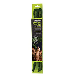 Komodo Natur Tropical Vine Kletterseil Liane für Echsen – Bild 1 von 2