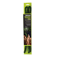 Produktbild von Komodo Natur Tropical Vine Kletterseil Liane für Echsen