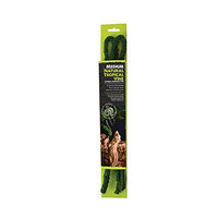 Produktbild von Komodo Natürliche Tropische Rebe Liane Grün 1,8 m x 20 mm für Reptilien