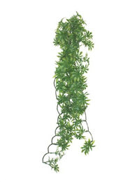 Produktbild von Komodo Papaya Leaf Vine Kletterpflanze als Terrariendeko für Reptilien und Echsen