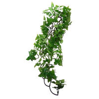 Produktbild von Komodo Philodendron Zimmerpflanze