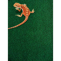 Produktbild von Komodo Reptilien Teppich für Echsen - 1 Stk.