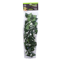 Produktbild von Komodo Sumatra Hängeranke für Reptilien 13 cm Grün