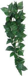 Komodo Sumatra Hanging Vine Unterschlupf für Echsen 40cm – Bild 1 von 3
