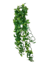 Komodo Unterschlupf Philodendron Pflanze für Echsen 40 cm Grün – Bild 1 von 2
