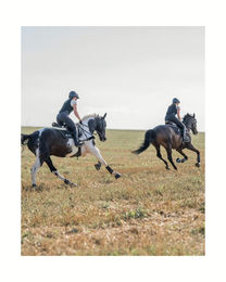 Komperdell Rückenprotektor Ballistic Weste für Damen in Schwarz oder Burgundy Größe M nach EN 1621-2 Level 2 aus Nylon – Bild 1 von 2