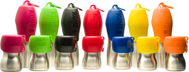 KONG H2O Trinkflasche aus Edelstahl Grün 750 ml – Bild 1 von 2