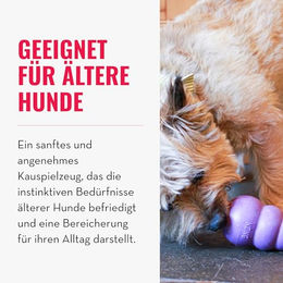 KONG Senior Kauspielzeug aus Naturkautschuk für große Hunde in Lila Größe L - 1 Stk. – Bild 1 von 6