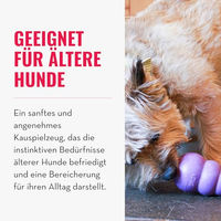 Produktbild von KONG Senior Kauspielzeug aus Naturkautschuk für große Hunde in Lila Größe L - 1 Stk.