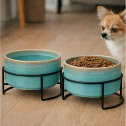 Koopman Futternapf Set aus Keramik für Hunde und Katzen 2er Pack Mintgrün 1 Liter pro Napf – Bild 1 von 5