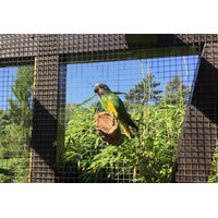 Produktbild von Kork-Deko 2er-Set Naturkork Vogel-Sitzstangen für Wellensittiche, Kanarienvögel und Papageien mit Edelstahlbefestigung