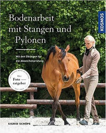 Produktbild von Kosmos Buch Bodenarbeit mit Stangen und Pylonen