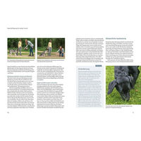 Produktbild von Kosmos Hunde beschäftigen mit Martin Rütter Spiele für jedes Mensch-Hund-Team