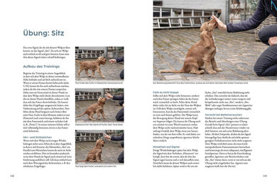 Kosmos Welpentraining mit Martin Rütter für Hunde – Bild 1 von 3