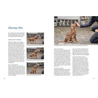 Produktbild von Kosmos Welpentraining mit Martin Rütter für Hunde