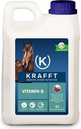Produktbild von Krafft Vitamin B Haut-Fell-Supplement für Haut und Verdauung 1000
