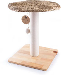 Produktbild von Kratzbaum Martin Sellier Pure Plateau aus Holz in Beige und Natur