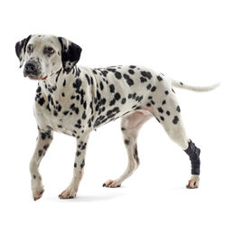 Produktbild von Kruuse Rehab Fersenschutz Größe XS