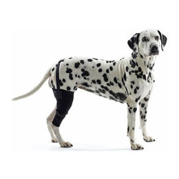 Kruuse Rehab Knieschutz für Hunde links XS Schwarz – Bild 1 von 3