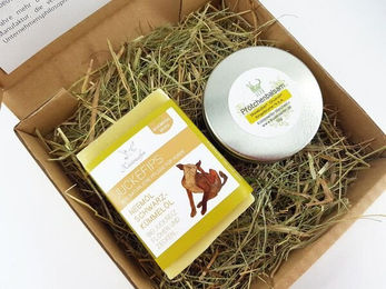 Küstenseifen Manufaktur Bio-Hundepflege Geschenk-Set mit Bio-Hundeseife Juckefips und Bio-Pfötchenbalsam für empfindliche Hunde, vegan und tierversuchsfrei – Bild 1 von 3