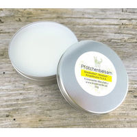 Produktbild von Küstenseifen Manufaktur Bio-Pfötchenbalsam Ringelblume Pfotenpflege für Hunde mit 50g Aluminiumdose