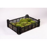 Produktbild von Kugelmoos in Moos-Design als Terrarium-Bodengrund für Reptilien und Amphibien Grün 1-teilig - 1 Stk.