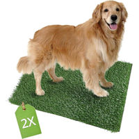 Produktbild von Kunstrasen Hundetoilette Welpentoilette Matte für Hunde 51x63 cm - 2 x 51 cm