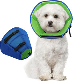 Kuoser Halskrause Hund Leckschutz Schutzkragen aus Kunststoff Blau M-L – Bild 1 von 5